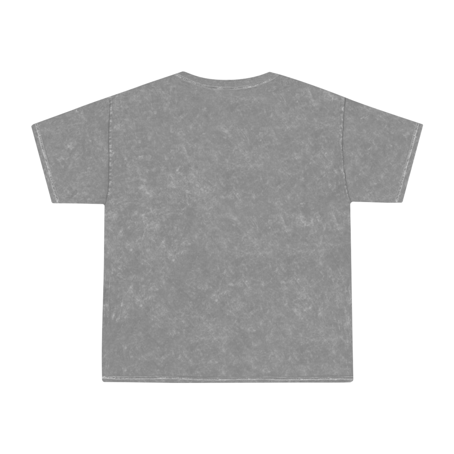 FSA Vintage Mineral-Wash T‑Shirt — Femme Athletic Dept. Collegiate Tee