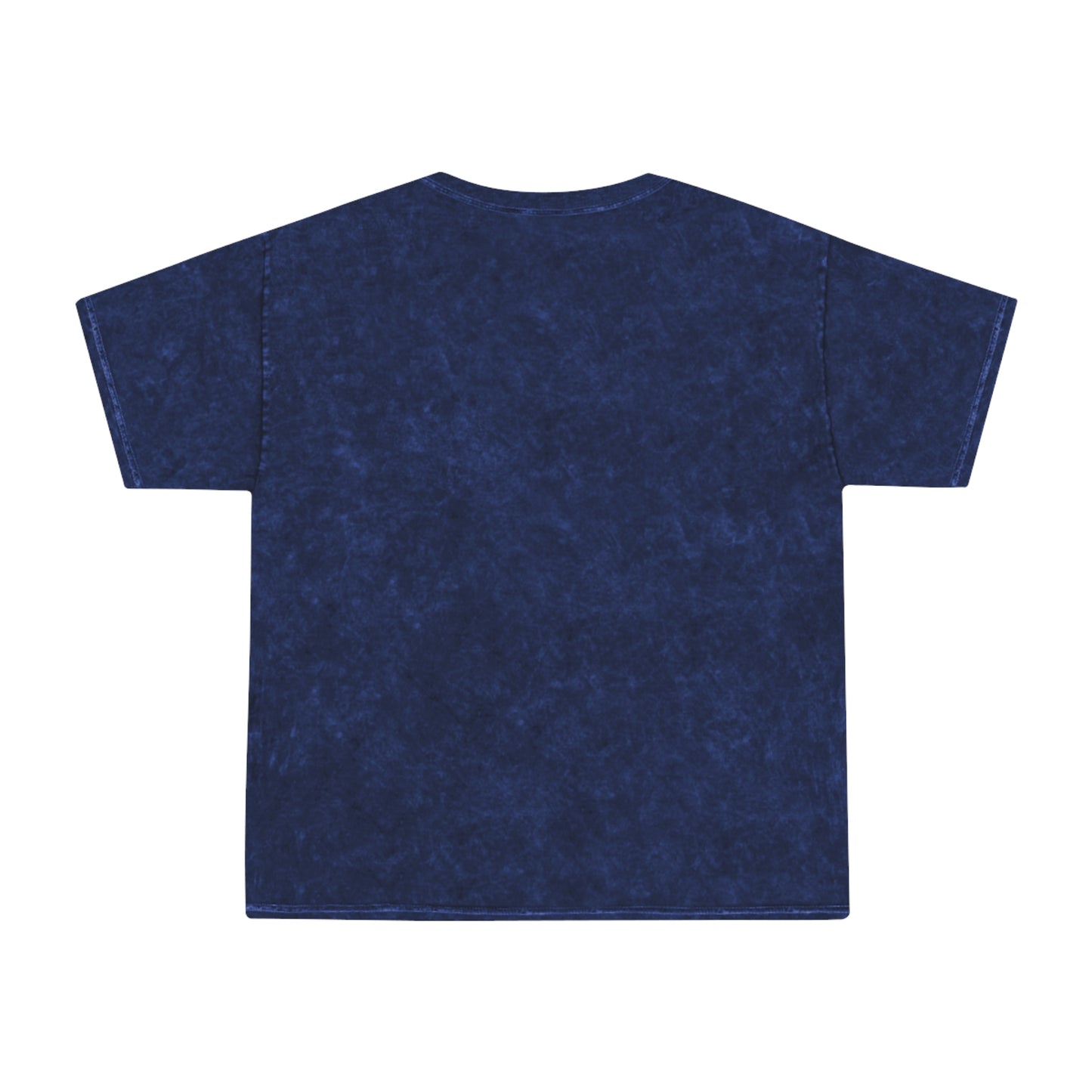 FSA Vintage Mineral-Wash T‑Shirt — Femme Athletic Dept. Collegiate Tee