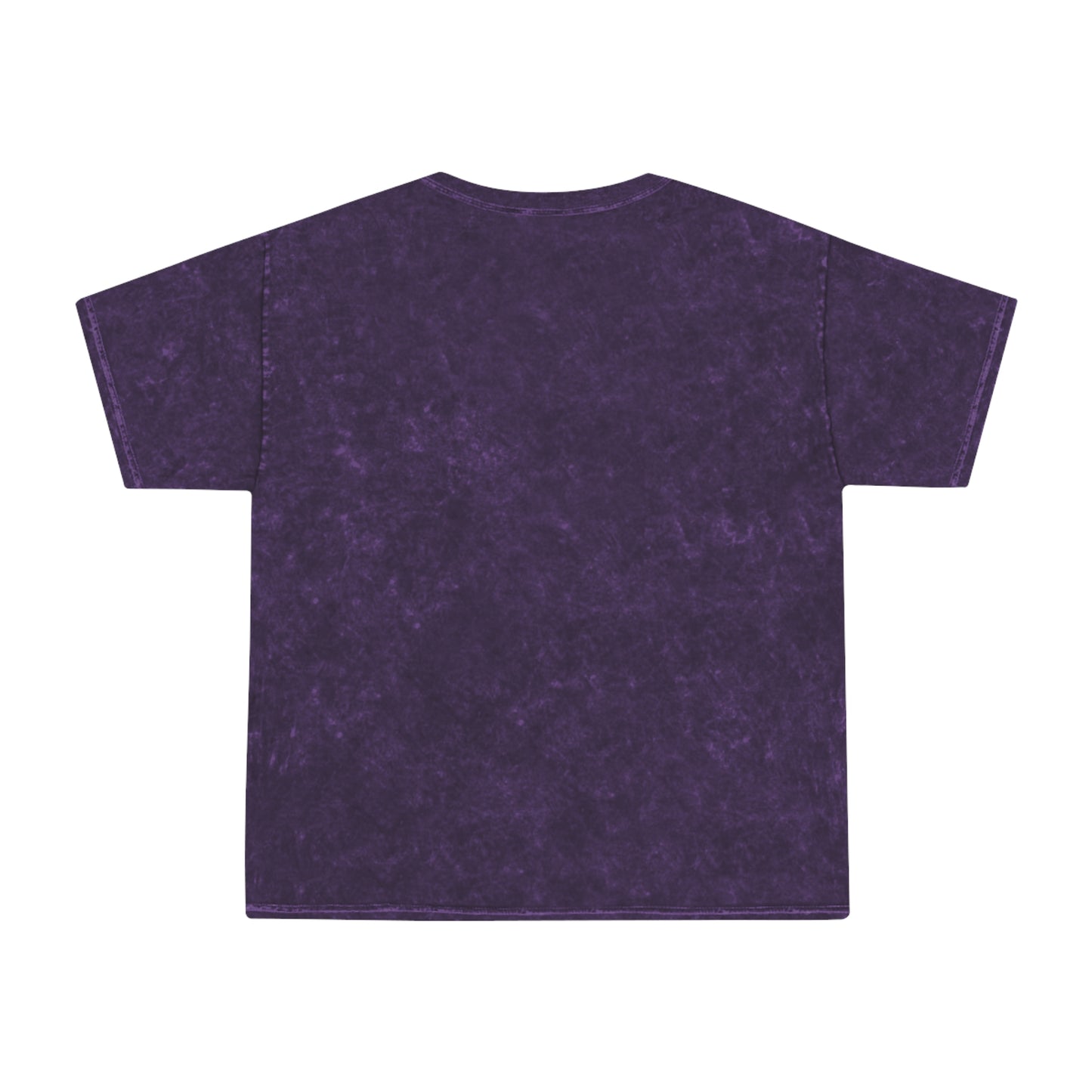 FSA Vintage Mineral-Wash T‑Shirt — Femme Athletic Dept. Collegiate Tee